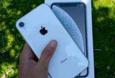 iPhone Jadul Masih Laris di Tahun 2025, Ini Alasannya