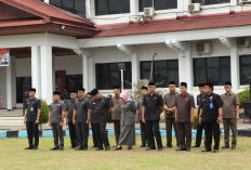 6 Pejabat Eselon II Pensiun, BKPSDM Bengkulu Selatan Siapkan Pejabat Plt