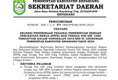 Tiba-tiba, Hanya 837 Honorer Data Base Bisa Ikut Seleksi PPPK 2025 Kepahiang, Cek Sebaran Tugasnya