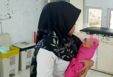 Kabar Terbaru Bayi Dalam Kantong Kresek di RSUD Curup, Dinsos Kepahiang Sampaikan Hal Ini 