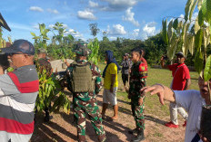 Peduli Lingkungan, Pos Camp Modern Satgas Yonif 144/JY Melakakukan Kegiatan Penghijauan