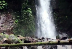 Wajib Dikunjungi untuk Healing dan Seru-Seruan! Berikut 11 Tempat Wisata di Pekalongan yang Lagi Hits