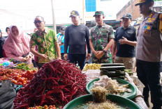 Harga Cabai Melonjak hingga Rp90 Ribu Perkilo di Bengkulu Utara, Ini Penyebabnya 