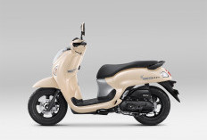 Honda Scoopy Hadir dengan Warna Baru Stylish 2025
