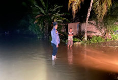 7 Rumah di Semidang Alas Terendam Banjir, Ini Sebabnya