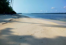 5 Objek Wisata Tersembunyi di Pulau Enggano Pulau Terluar Indonesia di Samudra Hindia