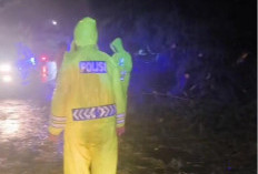 Diwarnai Hujan Badai dan Pohon Tumbang, Polisi Minta Masyarakat Hati-Hati