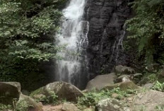 Cocok untuk Healing dan Instagramable! Berikut 4 Fakta Wisata Curug Cipurut di Jawa Barat