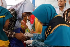 Capaian Imunisasi Kota Bengkulu Turun ke 60 Persen, Kasus Campak Mulai Naik