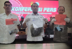 Suplai Ganja dari Empat Lawang Terus Berlangsung, Oknum Anggota LSM dan Kontraktor Dibekuk 