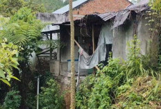 Puluhan Rumah Warga Desa Tabarenah Terancam Longsor Masuk Sungai Mundu