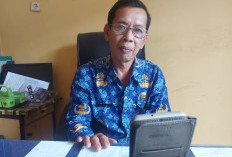 Ribuan THLT Sudah Daftar PPPK Lebong  