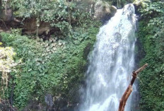 Air Terjun Curug Anggun Kepahiang Simpan Pesona Alami yang Terabaikan