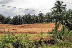 Pembangunan Rusun Belum Ada Kepastian, Anggaran Pusat Fokus ke IKN