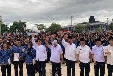 Pemprov Bengkulu Siapkan Alternatif Terbaik untuk PPPK Imbas UU HKPD