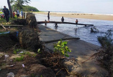 DPRD Bengkulu Tengah Minta Pemprov Bertindak Terkait Abrasi Pantai Desa Pekik Nyaring