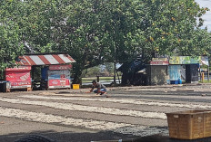 Musim Hujan, Pelaku Usaha Ikan Kering di Kota Bengkulu Merugi