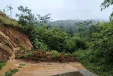 Longsor, Jalan Lintas Lebong-Rejang Lebong Lumpuh 