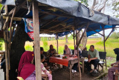 Pemkot Bengkulu Tertibkan Pedagang DDTS Usai Viral Harga Es Teh