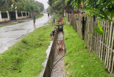 7 Manfaat Mandi Hujan untuk Anak, Tapi Perhatikan Keselamatan dan Kesehatan Berikut Ini