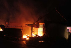 Tragis! Kebakaran di Jalan Padat Karya, Penghuni Meninggal Dunia, Terkurung Kobaran Api, Satu Orang Luka Bakar