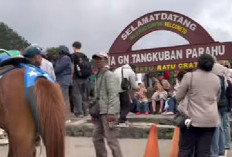 Destinasi Healing dan Instagramable di Jawa Barat! Berikut 3 Fakta Menarik Wisata Gunung Tangkuban Perahu