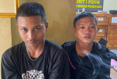 Mobil Carry jadi Incaran, Polres Kaur Imbau Pemilik Tak Parkir Sembarangan