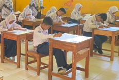 Lulusan SD di Kabupaten Ini Terbanyak, Tingkat Pendidikan Masih Rendah