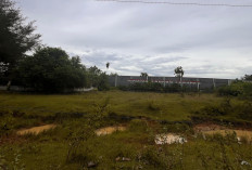 Miris, Stadion Padang Panjang Bengkulu Selatan Tidak Terawat