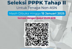 Pendaftaran PPPK Tahap II Diperpanjang Hingga 15 Januari 2025. 