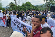 Pemkab Seluma Nonaktifkan Data CASN Peserta PPPK Tahap II