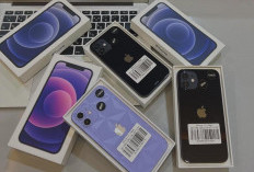 Kamera Handphone Terbaik Tahun 2025, Salah Satunya Mungkin Milik Kamu