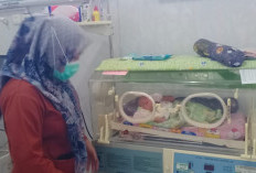 Ibu Si Pembuang Bayi di Kepahiang Segera Terungkap! Diduga Ada yang Bantu Saat Melahirkan 