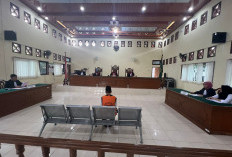 Jaksa Tuntut Kakek Terdakwa Asusila 20 Tahun Penjara