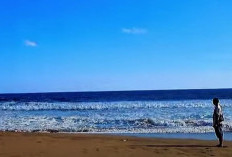Permata Hitam Blitar yang Menawan! Berikut 4 Fakta Pantai Pasur