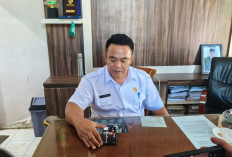 Job Fit 7 Jabatan Strategis Tunggu Restu BKN