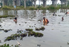 Mencari Ikan, Pelajar SD di Kota Bengkulu Meninggal
