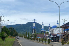1.119 Lampu Jalan di Lebong Rusak, PUPR-P Janji Segera Perbaikan 