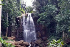 Destinasi Healing dan Instagramable! Berikut 4 Fakta Wisata Curug Teluntung di Bengkulu Tengah