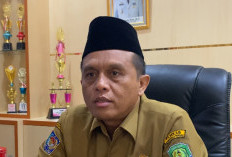 Pengangkatan PPPK Paruh Waktu Tunggu Regulasi KemenPANRB 