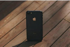IPhone 17e Resmi Menggoda Pasar Menengah, Benarkah Apple Kini Lebih Membumi?