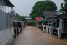 BMKG Tulis Peringatan Dini: Waspada Banjir, Tanah Longsor dan Angin Kencang di Bengkulu 