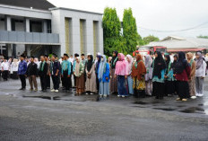 Tidak Daftar PPPK Tahap II, Hak Prioritas Honorer Bakal Dicabut