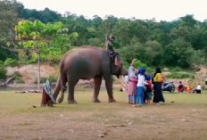 Cocok untuk Liburan Keluarga! Berikut 10 Destinasi Wisata Alam Menarik di Bengkulu Utara yang Lagi Hits