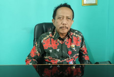 Kolam Renang Mubazir, BPKP Ajukan Review Aset 