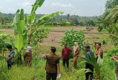 Terdampak Longsor, 16 Hektare Sawah Terancam Dialihfungsikan