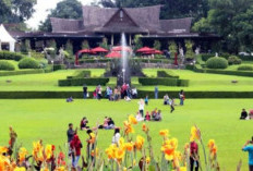 Kebun Raya Tertua di Asia dan Sempat Hancur Tahun 1850, Inilah Fakta Kebun Raya Bogor