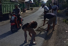 Efisiensi Anggaran, Pemuda Penarik Bantu Pemkab Rawat Jalan