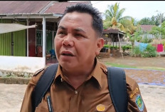 Kades Keluhkan Desa Datar Lebar Masih Blank Spot, Minta Starlink