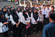 Hanya Usulkan 327 Orang, 173 Honorer Rejang Lebong Terancam Dipecat